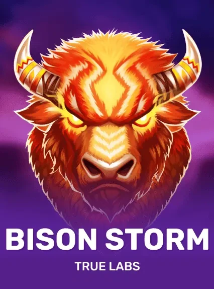 Bison Storm